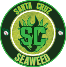 Santa Cruz Seaweed